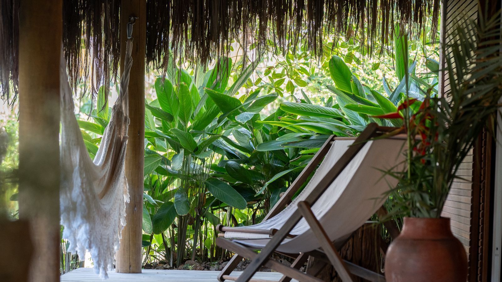 A hammock, a lounge chair, and lush green plants in a covered outdoor area.