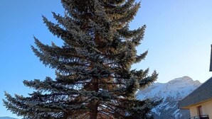 A snow-covered coniferous tree in front of a building with a mountain backdrop. - 100m from ski slopes, Ground floor, tv, 80m², Pra Loup (Pra Loup)