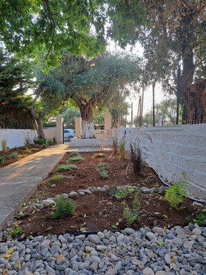 Property grounds - Thassos Soul.House with yard 50 meters from the sea (PG2H+FH Skala Kallirachis)