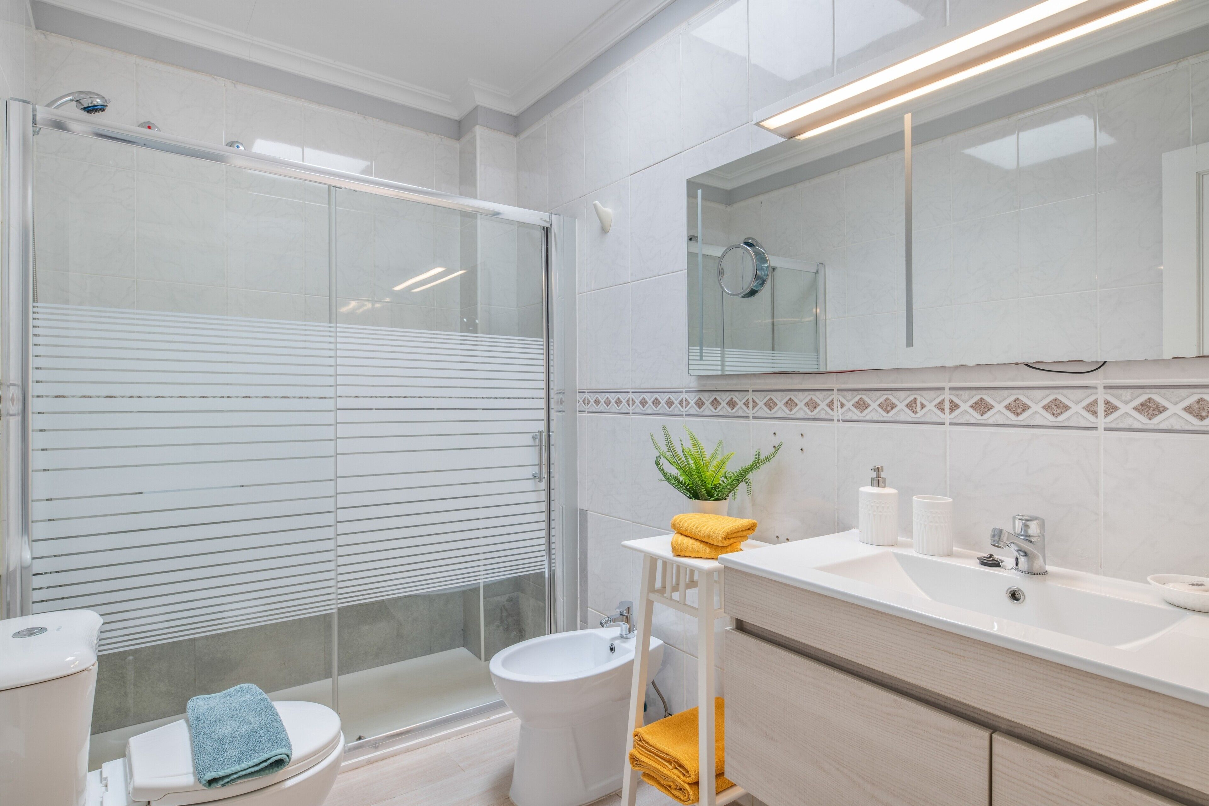 Shower, hair dryer, towels