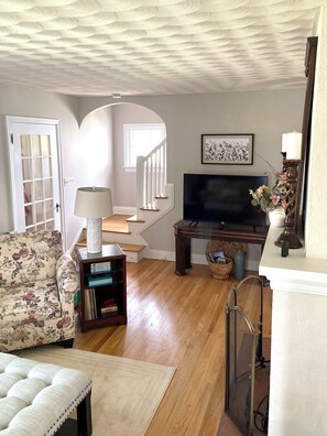 TV, fireplace, books