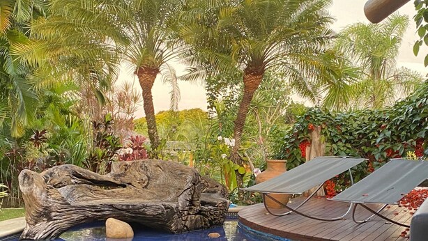 A pool with a natural rock feature, surrounded by lush greenery and palm trees. - House with sea and cliff views, 100m from the beach in Trancoso. (Trancoso)