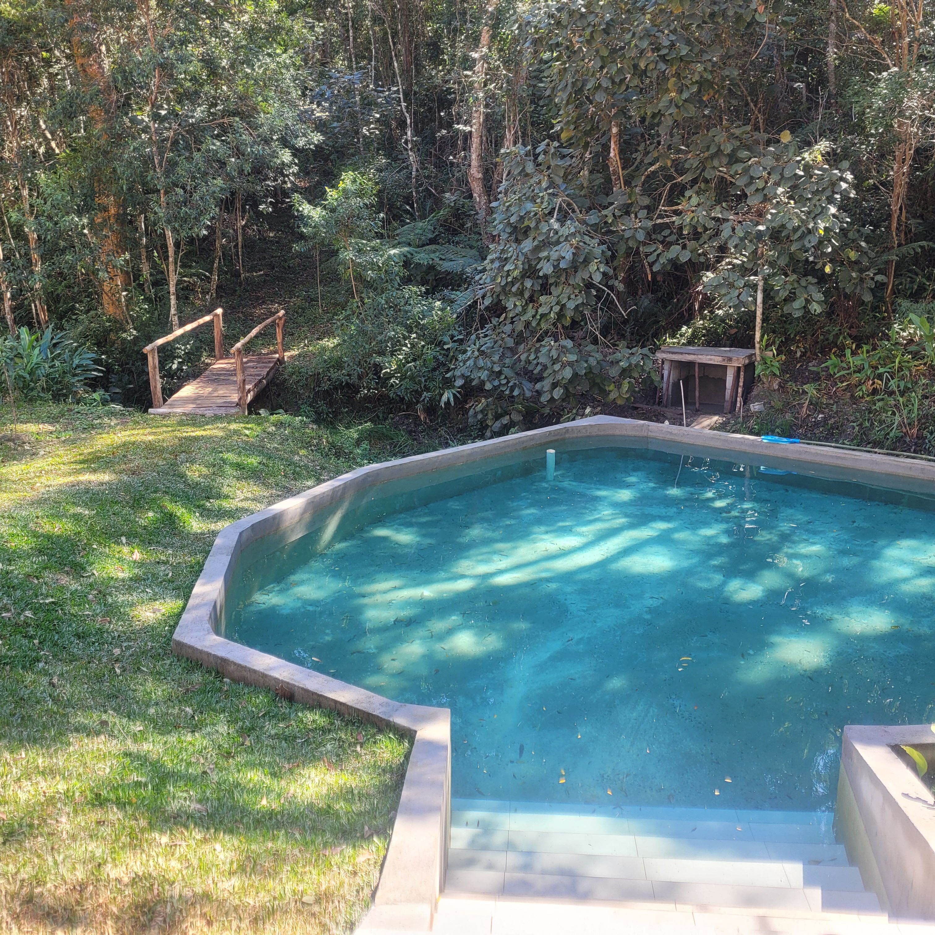Ein rechteckiger Pool mit Holzterrasse und Stufen, umgeben von üppiger Vegetation.
