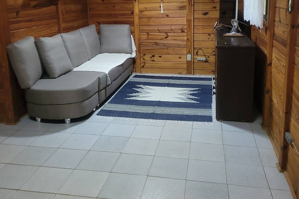 A wooden cabin interior with a sofa, a rug, a small table, and a ceiling light.