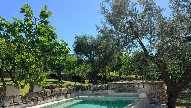 A rectangular pool with stone walls, surrounded by a wooden deck and stone edging, set in a landscaped garden with trees. - Trulli D Amore (Monopoli)