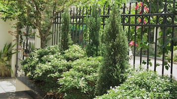 Khuôn viên nơi lưu trú