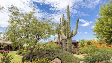 A desert garden with cacti, flowering plants, and a building with a tiled roof.