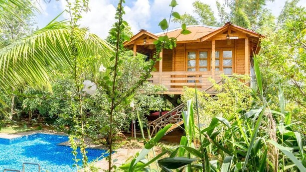 A wooden cabin with a pool surrounded by tropical vegetation.