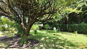 A tree-lined garden with a well-maintained lawn and a large tree in the foreground.