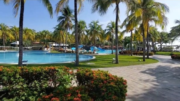 A pool area with palm trees, a clear sky, and a well-maintained lawn.