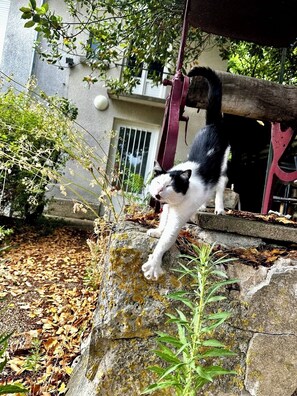 Exterior detail - Large T2 near Poitiers train station, 12-minute drive from Futuroscope (Buxerolles)