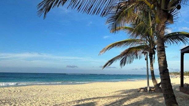 Een strand met palmbomen en een heldere lucht.