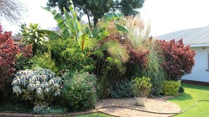 A garden with various plants, a circular stone pathway, and a house in the background. - Sarum Lodge (Harare)