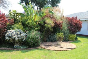 Khuôn viên nơi lưu trú