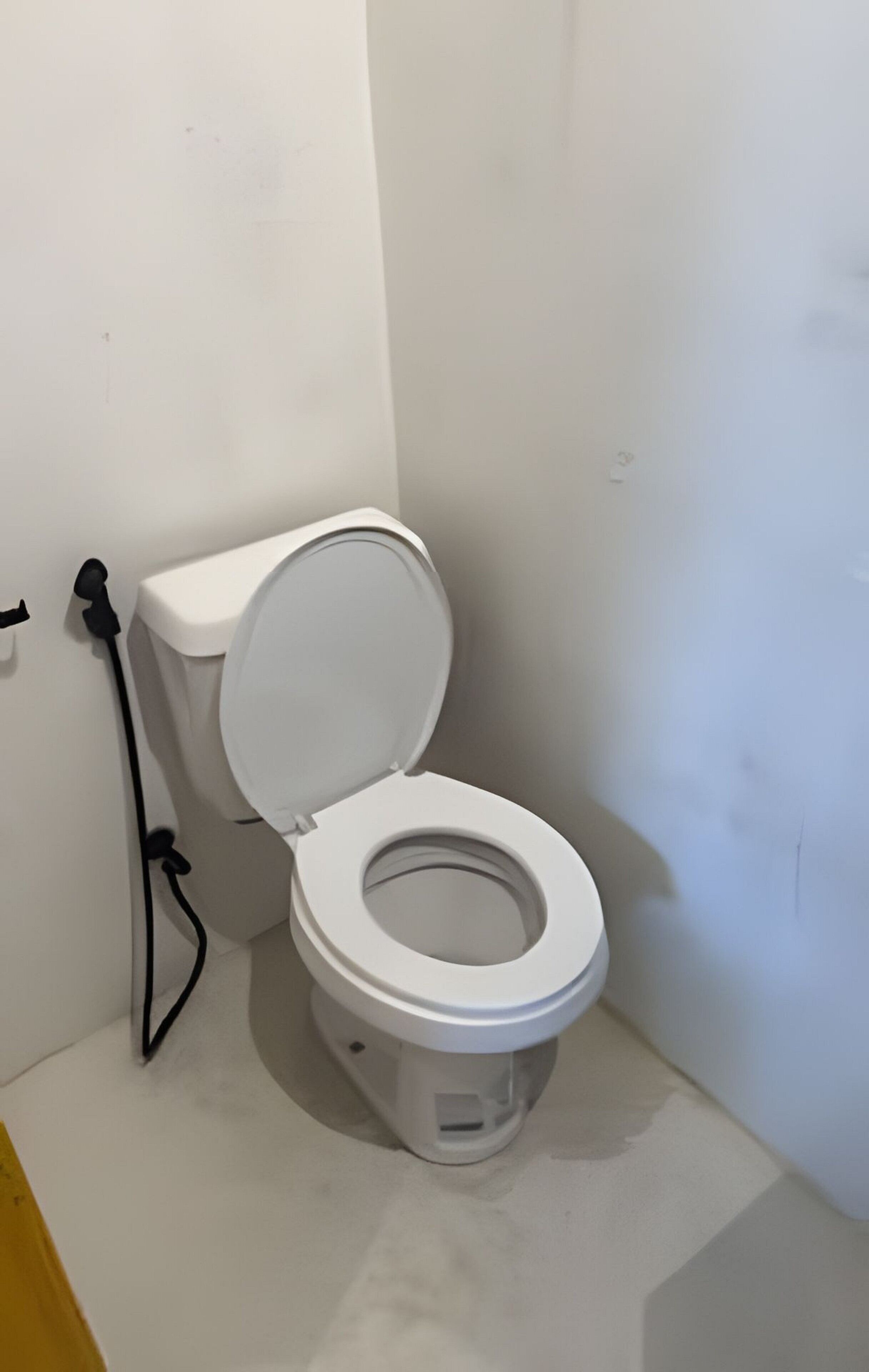 Des toilettes blanches classiques, avec un abattant fermé, une poignée de chasse d’eau visible et un tuyau noir fixé au mur.