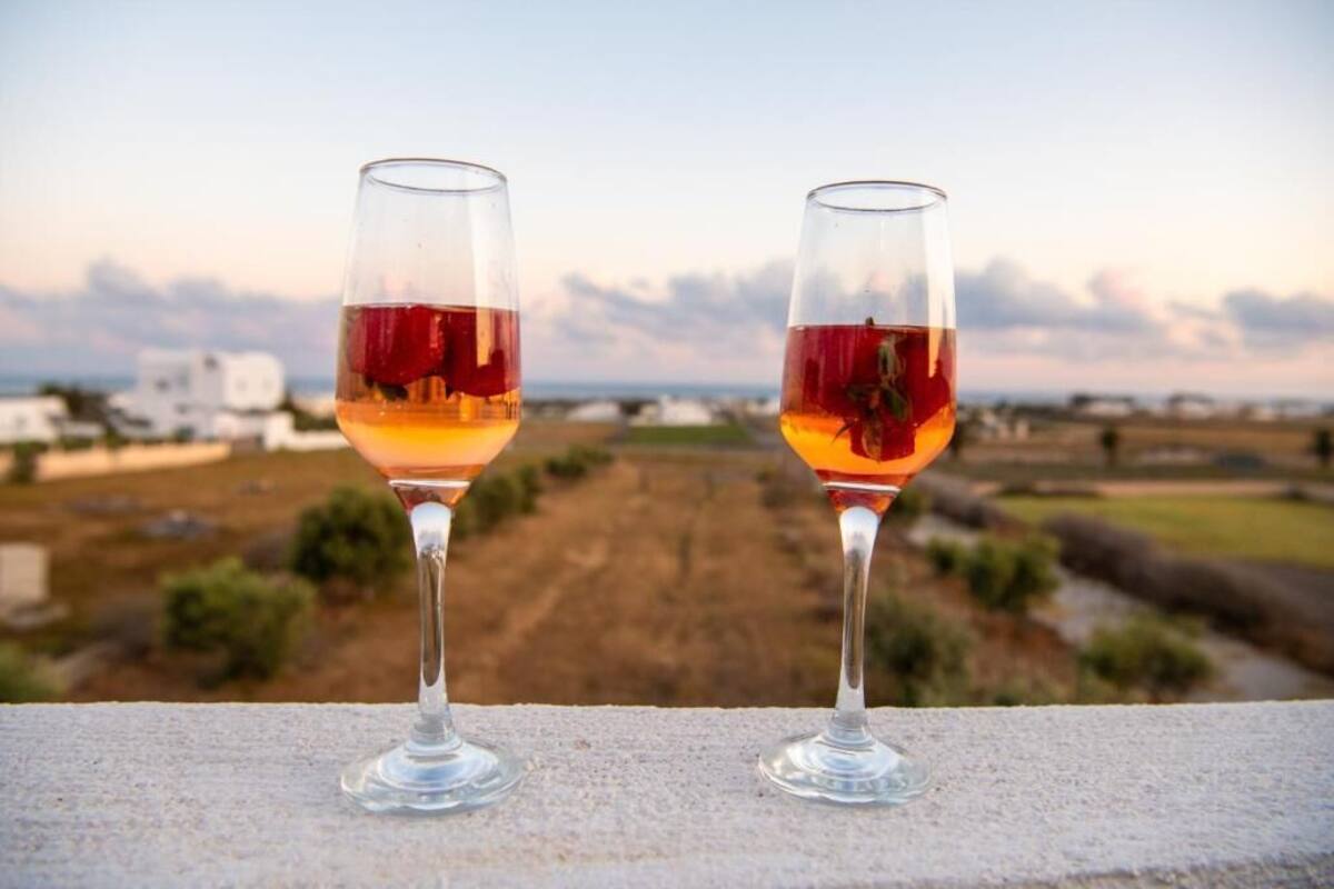 Two glasses of red wine on a ledge with a view of a rural landscape.
