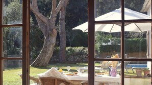 Um pátio com cadeiras de vime e uma mesa, um grande guarda-sol e vista para um jardim com árvores e piscina.