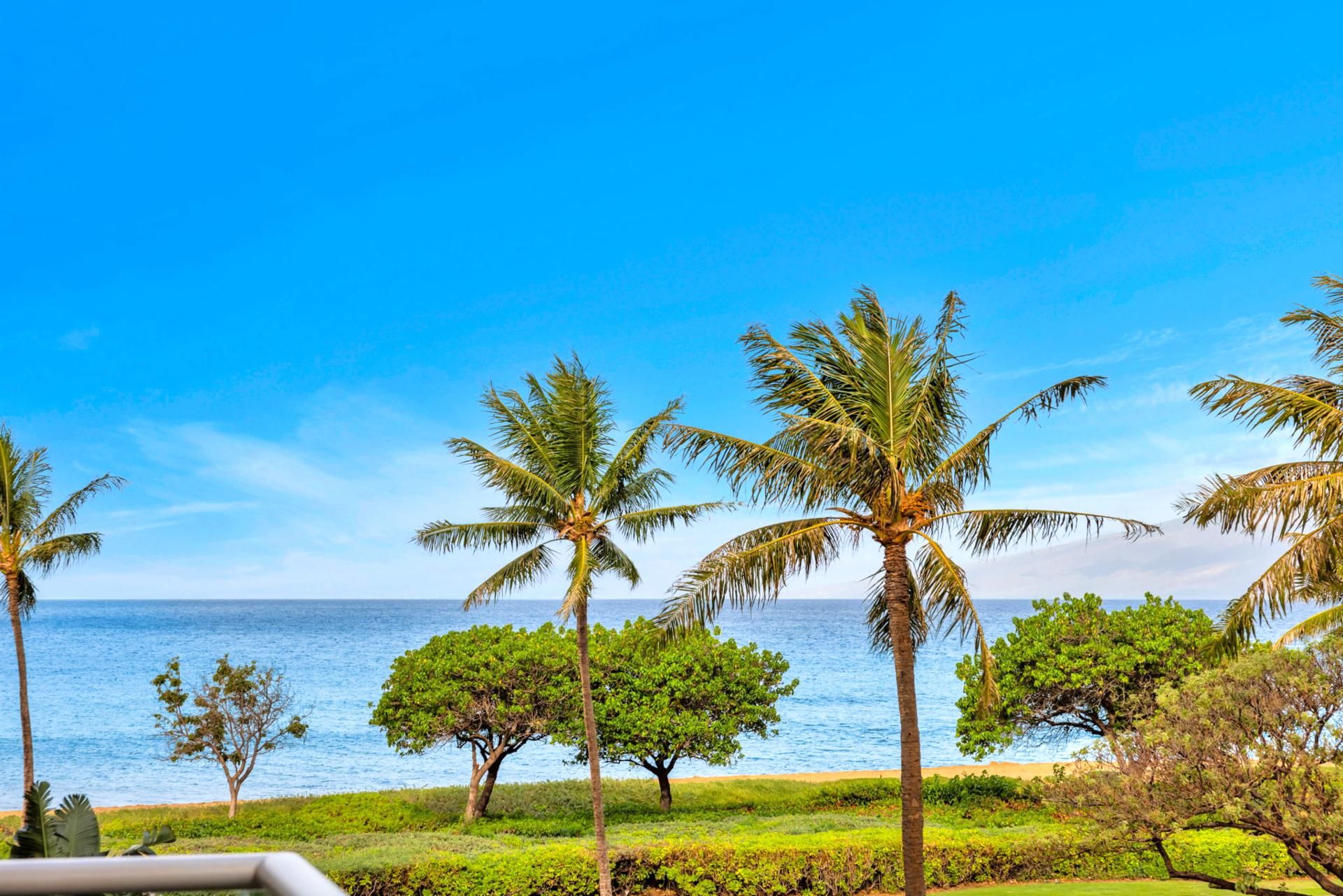 A tropical beach scene with palm trees and a clear blue sky.