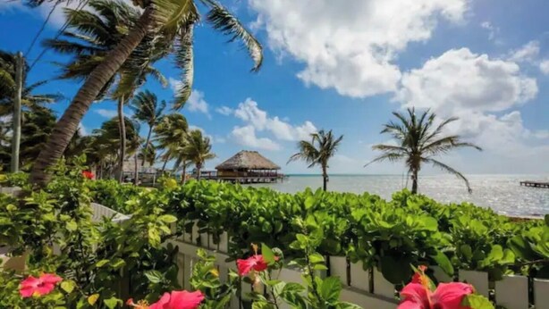 A tropical resort with palm trees, a thatched-roof structure, and a view of the sea. - 4 br/ Oceanview/Pool/Walk to Centar of San Pedro (San Pedro)