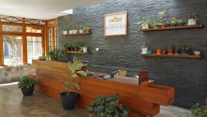 Un mostrador de recepción con fondo de pared de piedra, zona de madera y varias plantas en macetas.