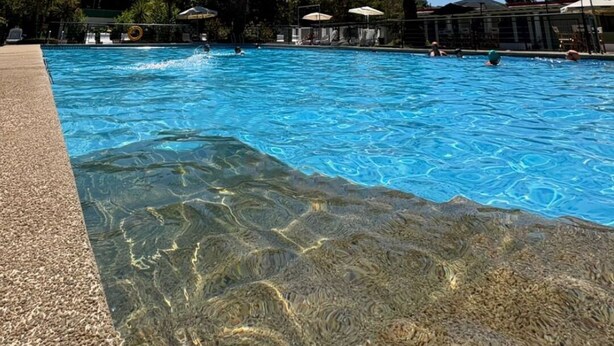 Una piscina cristalina rodeada de palmeras y sombrillas, bajo un cielo despejado.