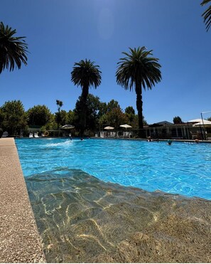 A clear swimming pool surrounded by palm trees and umbrellas, with a clear sky above. - Termas de Panimávida (Colbún)