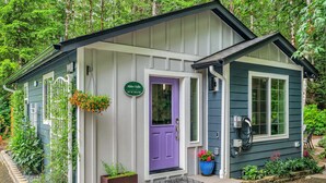 A small, single-story building with a purple door and a green sign indicating 'Alder Falls 107 W. Story Rd.'