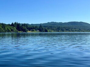 Miscellaneous - Alder Falls: Olympic Natl Park | Firepit + Fenced Yard | Creek/Lake Access (Shelton)