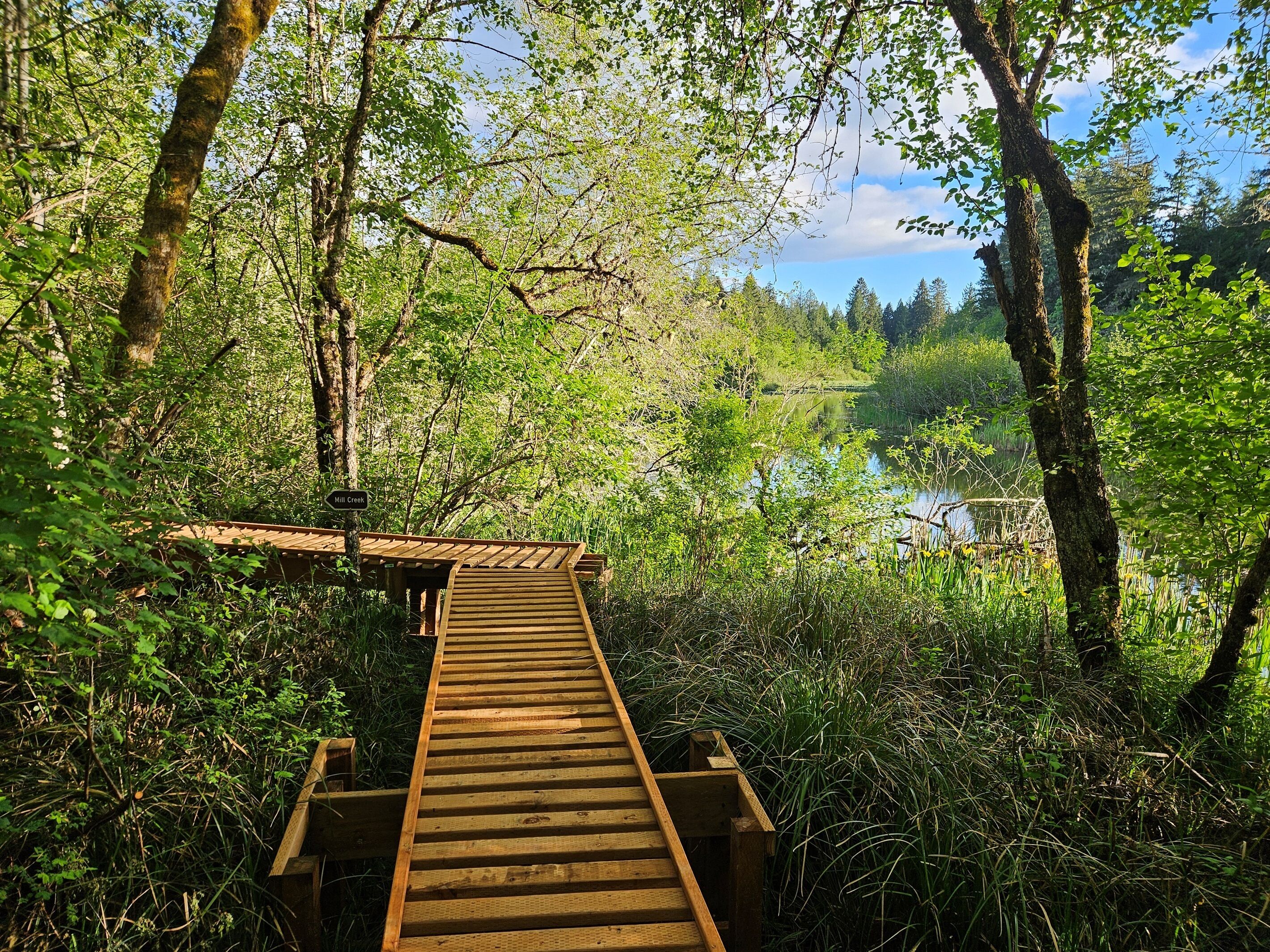A wooden bridge in a forested area with a sign indicating 'Mill Creek.'