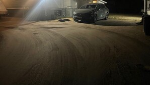 Eksteriør