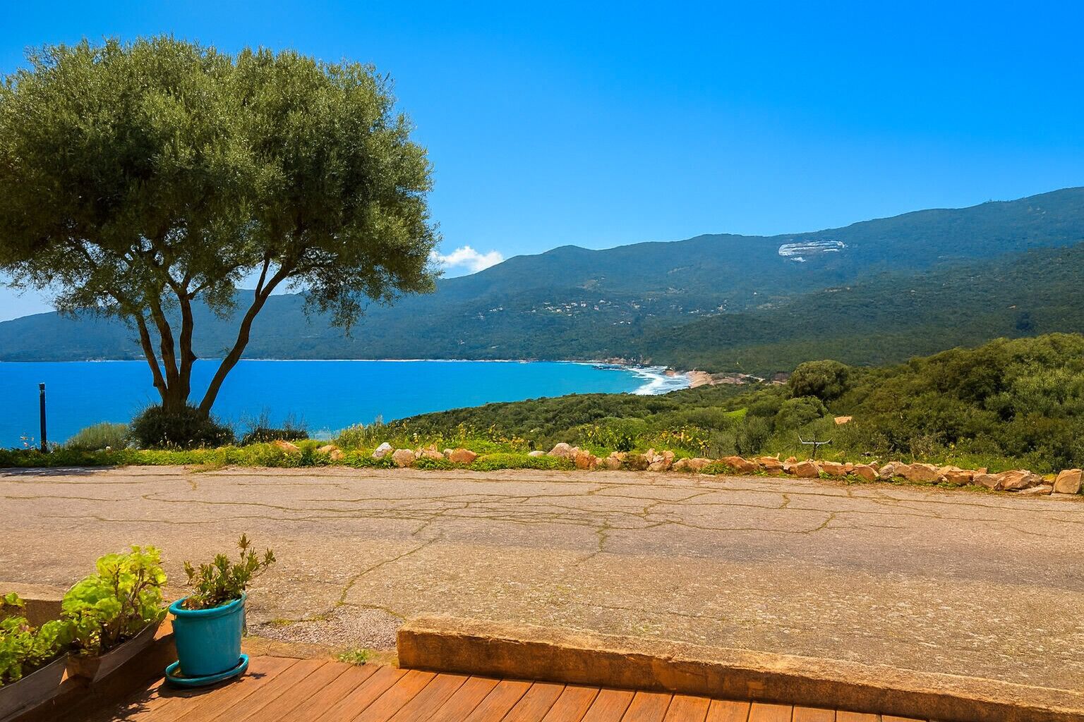 Blick auf die Küste mit einem großen Baum, einer Holzterrasse und einem tiefblauen Meer.