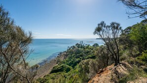 Eine Küstenlandschaft mit felsigem Gelände, dichter Vegetation und freiem Blick auf das Meer.