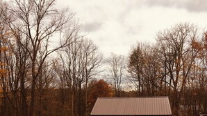 A rural barn with a metal roof, surrounded by trees and a grassy field.