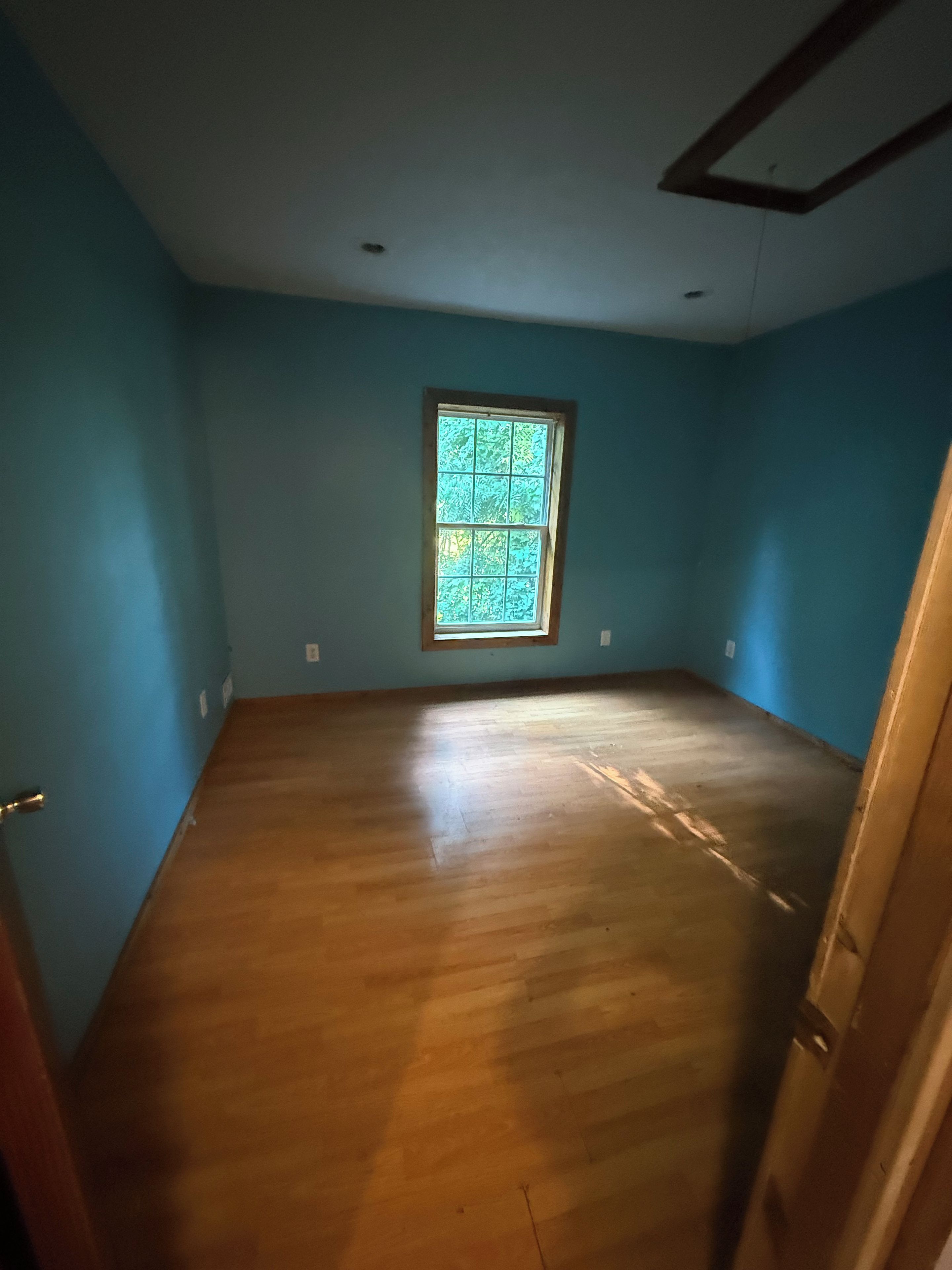 Une pièce avec un plancher en bois, une fenêtre donnant sur un paysage verdoyant et un mur bleu.