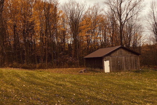 Miscellaneous