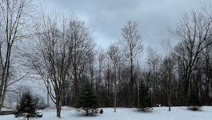 A snowy landscape with bare trees and a clear sky.
