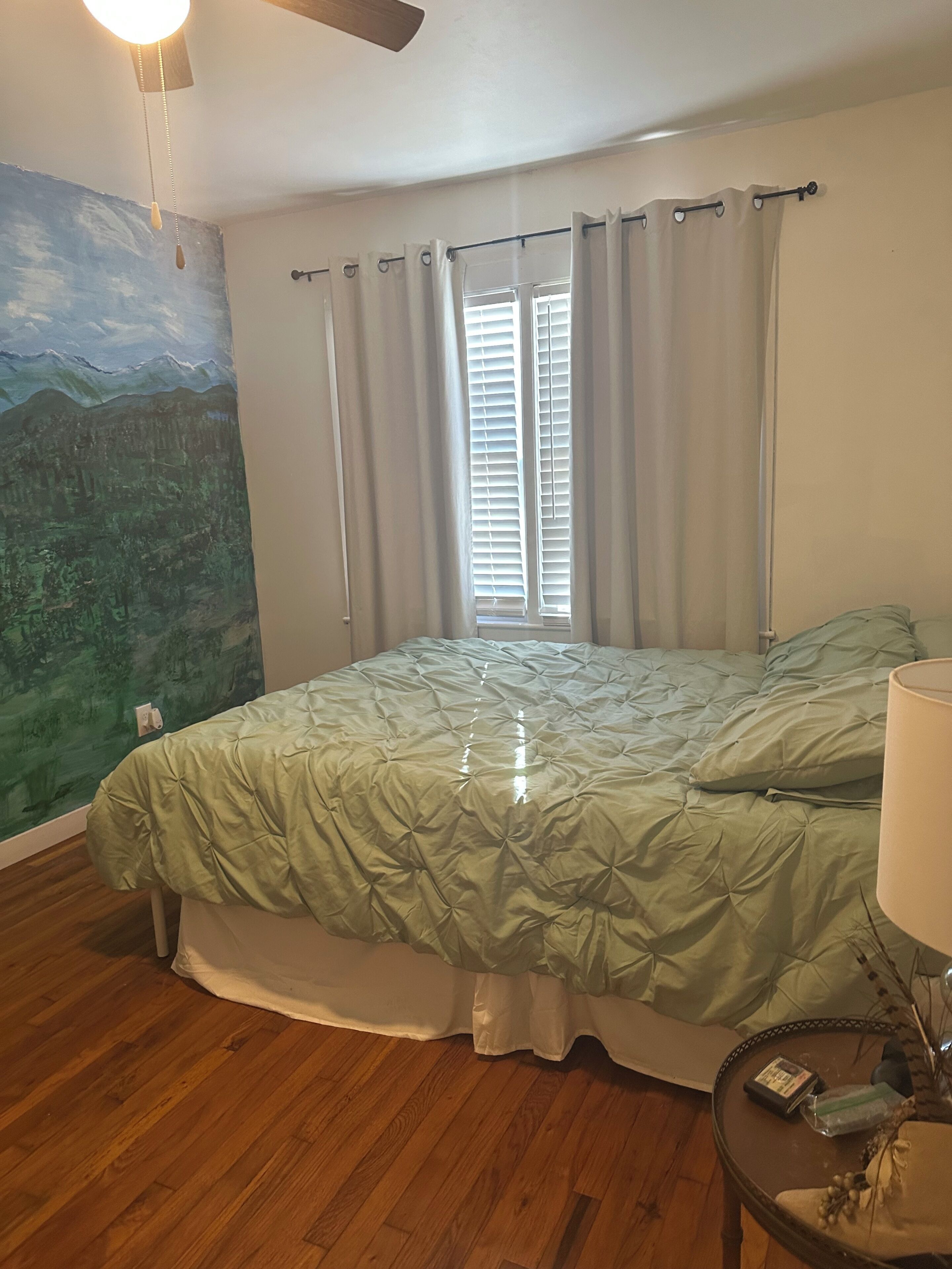 A bedroom with a bed, curtains, a ceiling fan, a nightstand, and a wall mural.