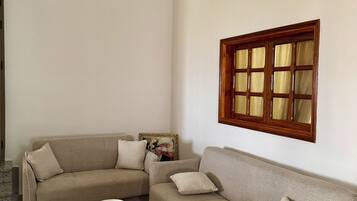 Smart TV, fireplace, books, music library
