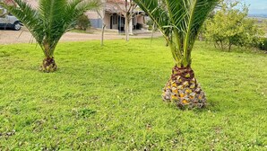 A grassy area with palm trees and a building in the background. - Maison de charme en ferme privée- Atlas (El Hajeb)