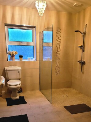 Shower, hair dryer, towels, soap