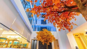A modern interior with a central seating area, a tree, and a glass ceiling. - 12C Baiyujing Hot Spring Resort Furong (Xiangxi)