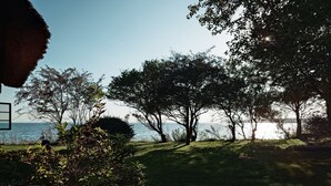 Eine grüne Wiese mit Bäumen und Blick auf das Wasser.