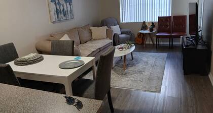 Marvelous 1-bedroom condo with AC in sunny San Ramon