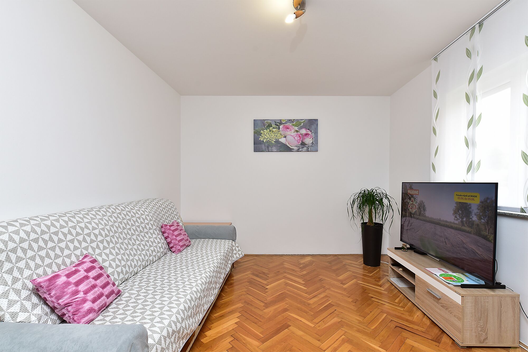 Un salon moderne avec un canapé à motifs, un téléviseur posé sur un meuble en bois, une plante en pot et un tableau accroché au mur.