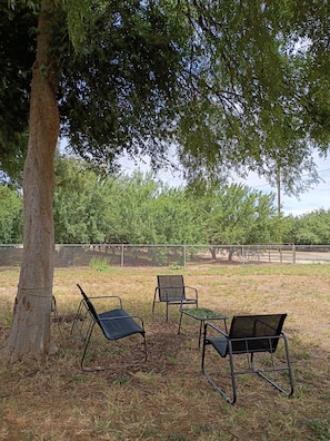 Parco della struttura