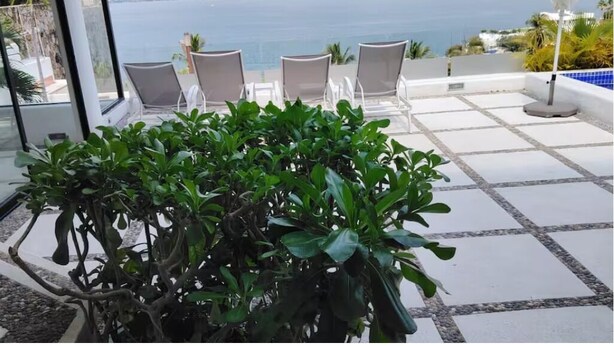 A terrace with a view of the sea, a potted plant, and outdoor seating. - Comfortable House with excellent view Acapulco (Acapulco de Juárez)