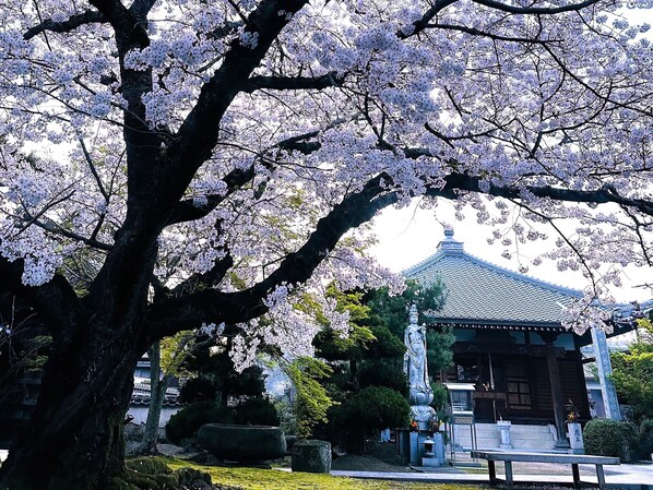 บริเวณภายนอก