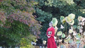 A person in traditional attire standing by a pond with lotus flowers and greenery. - Guesthouse Riad Camellia (Mitoyo)