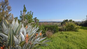 A landscape with a variety of plants and a clear sky. - Villa vue mer au calme (SAN GIULIANO)