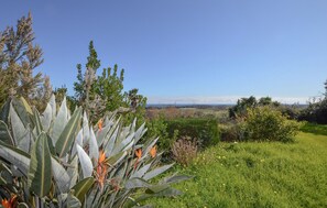 Property grounds - Villa vue mer au calme (SAN GIULIANO)